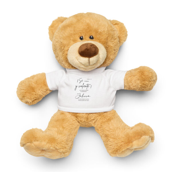 Teddy bear with a t-shirt