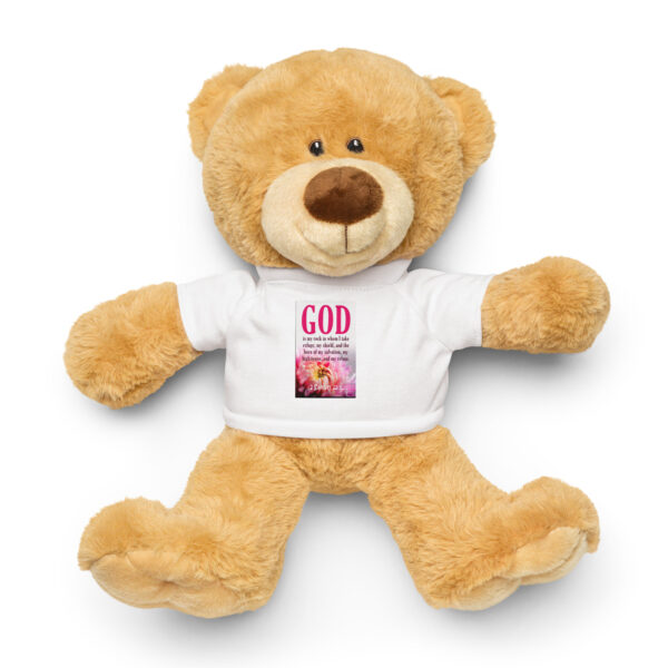 Teddy bear with a t-shirt